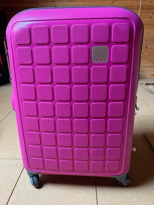 revelation flamingo suitcase
